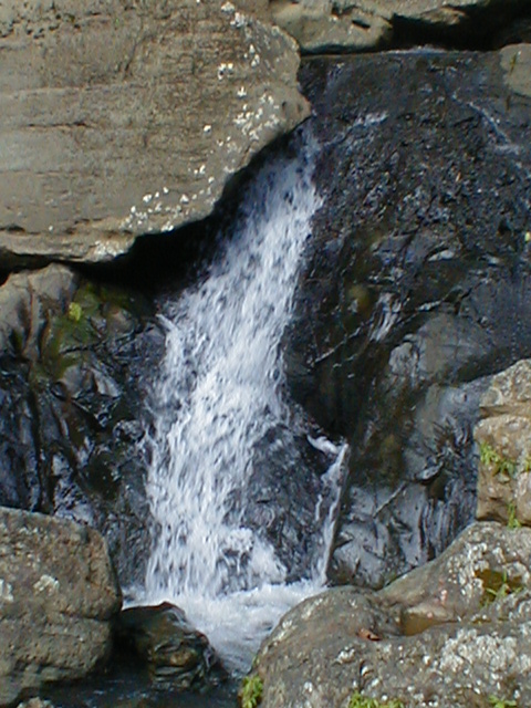 El Yunque - La Coca falls view of bottom