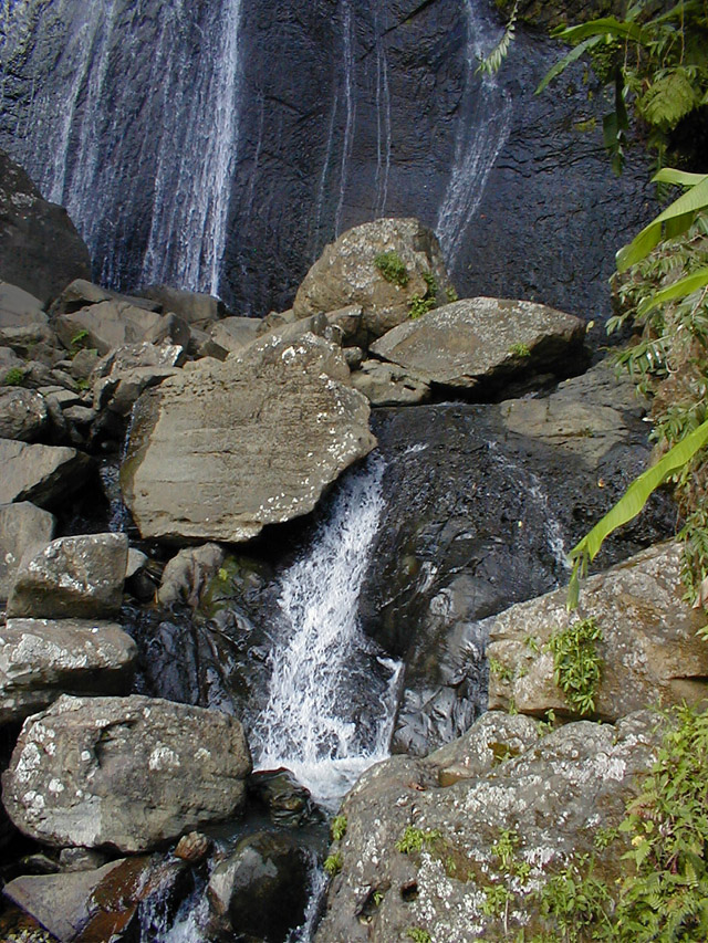 El Yunque - La Coca falls view of middle