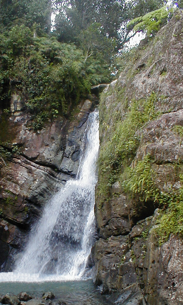 El Yunque - La Mina falls on Big Tree Trail
