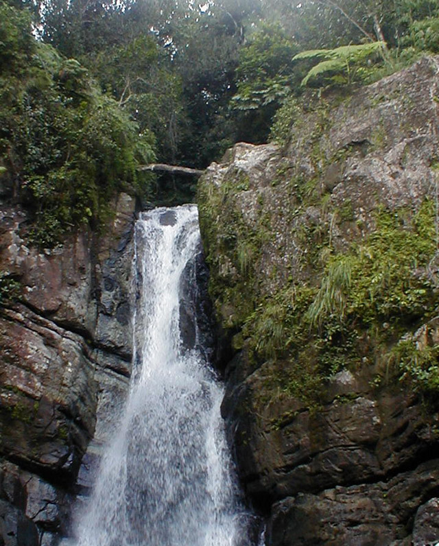 El Yunque - La Mina falls