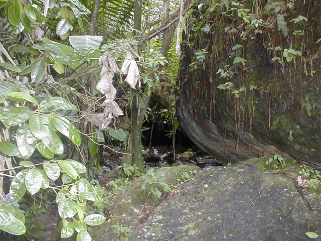 El Yunque - small cave