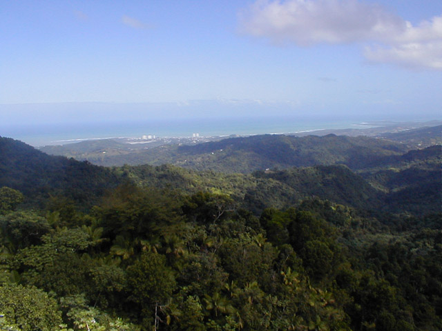 El Yunque - view of Farjado from Yukah�a observation tower