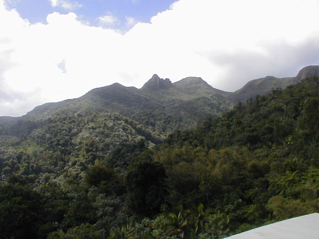 El Yunque - view of Mt. Yunque