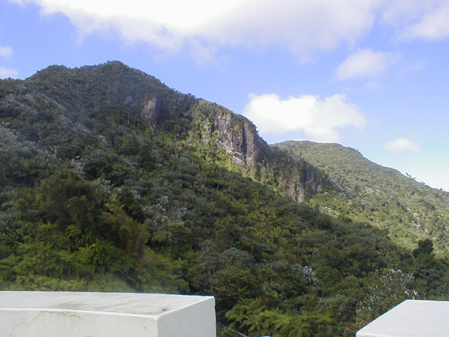 El Yunque - view of mountainside from Yukah�a observation tower
